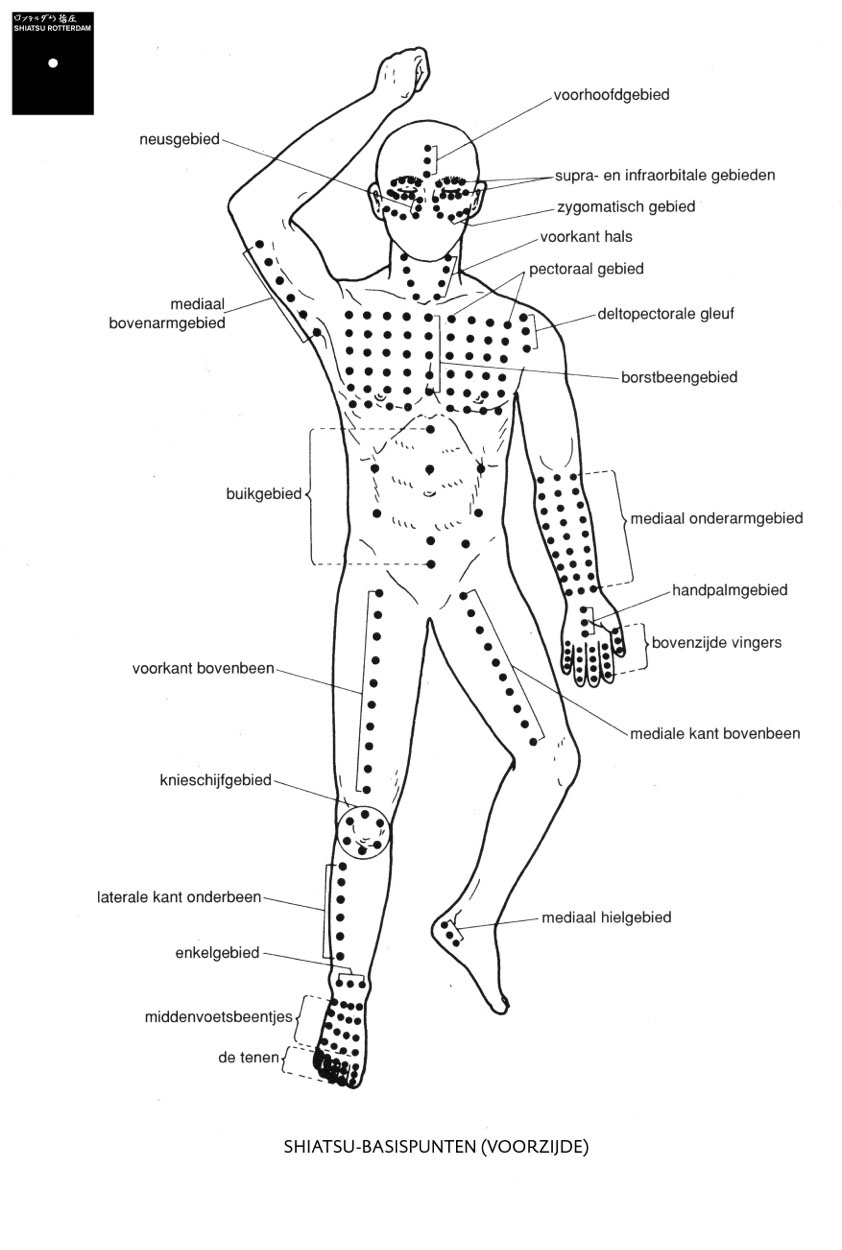 Basic Shiatsu Techniques  Shiatsu Massage 